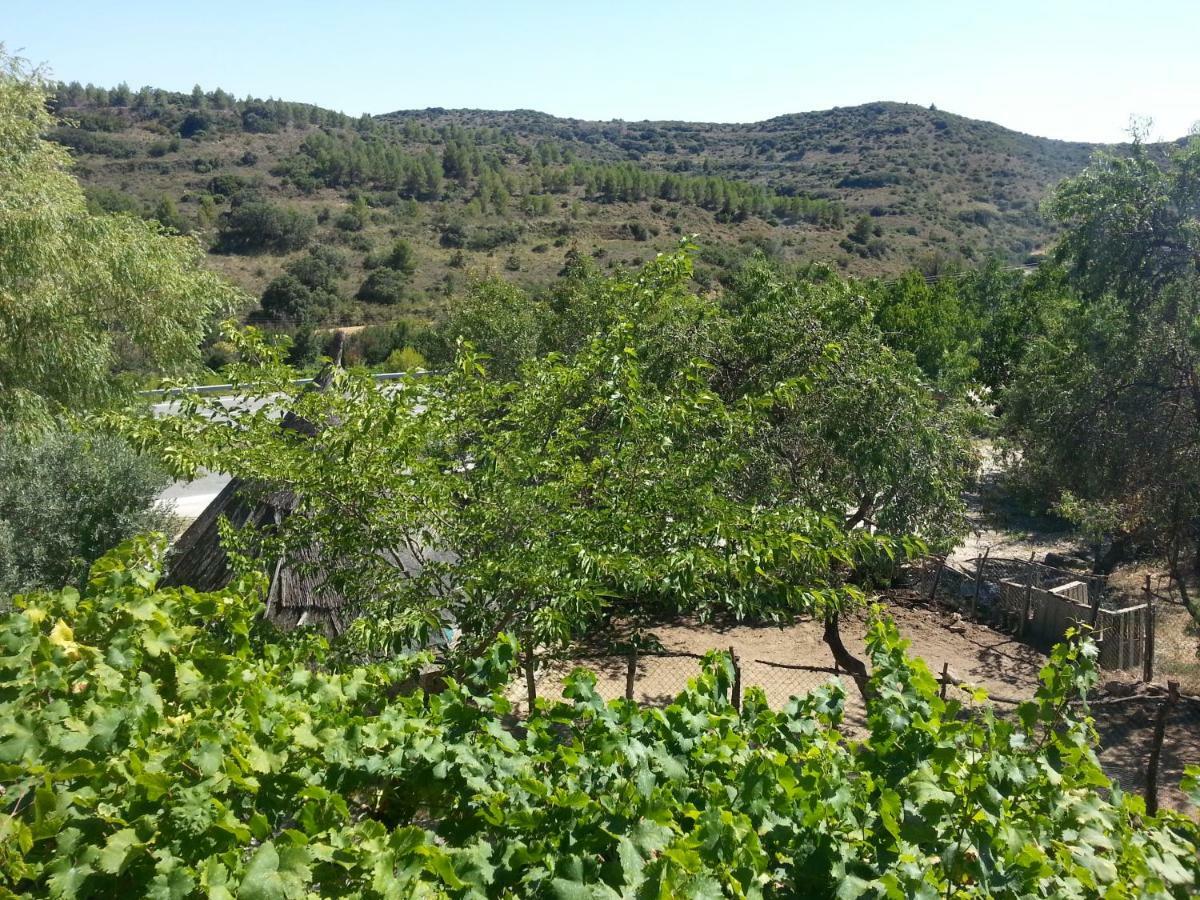 Hostal Rural Casa Pedro San Martín de Unx Esterno foto